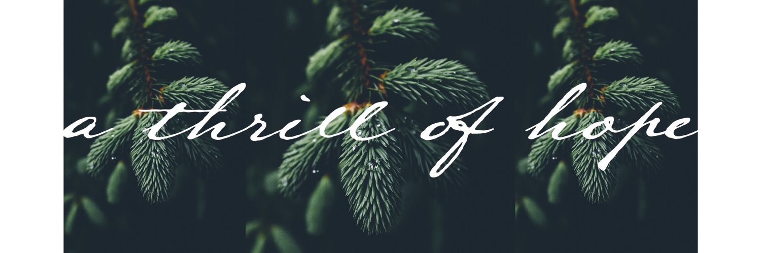 newlifenny's profile banner image