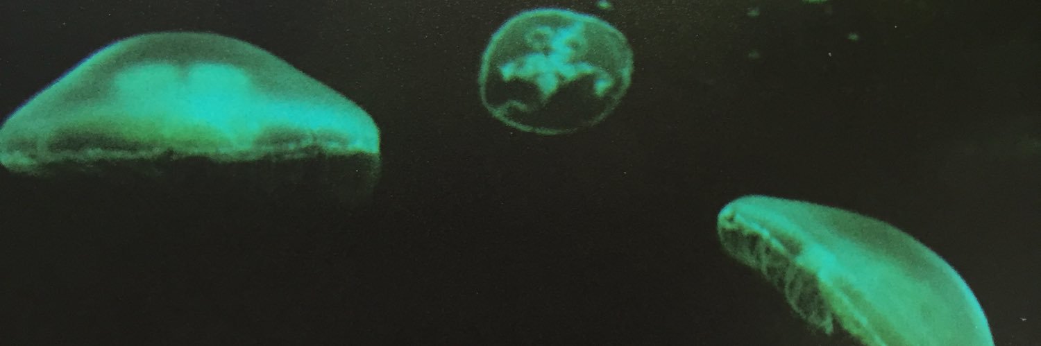 evazacc's profile banner image