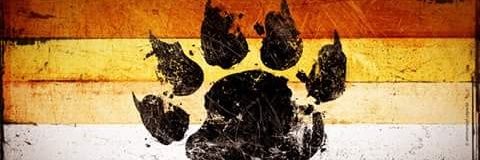 Maycochris's profile banner image