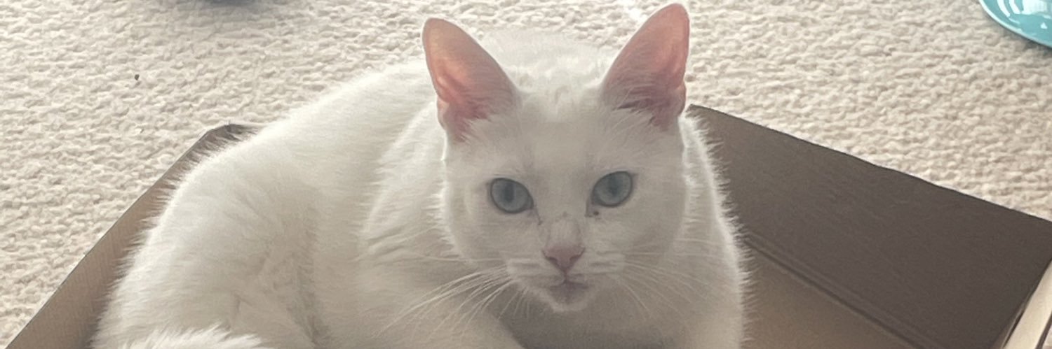 MissAlexOBrien's profile banner image