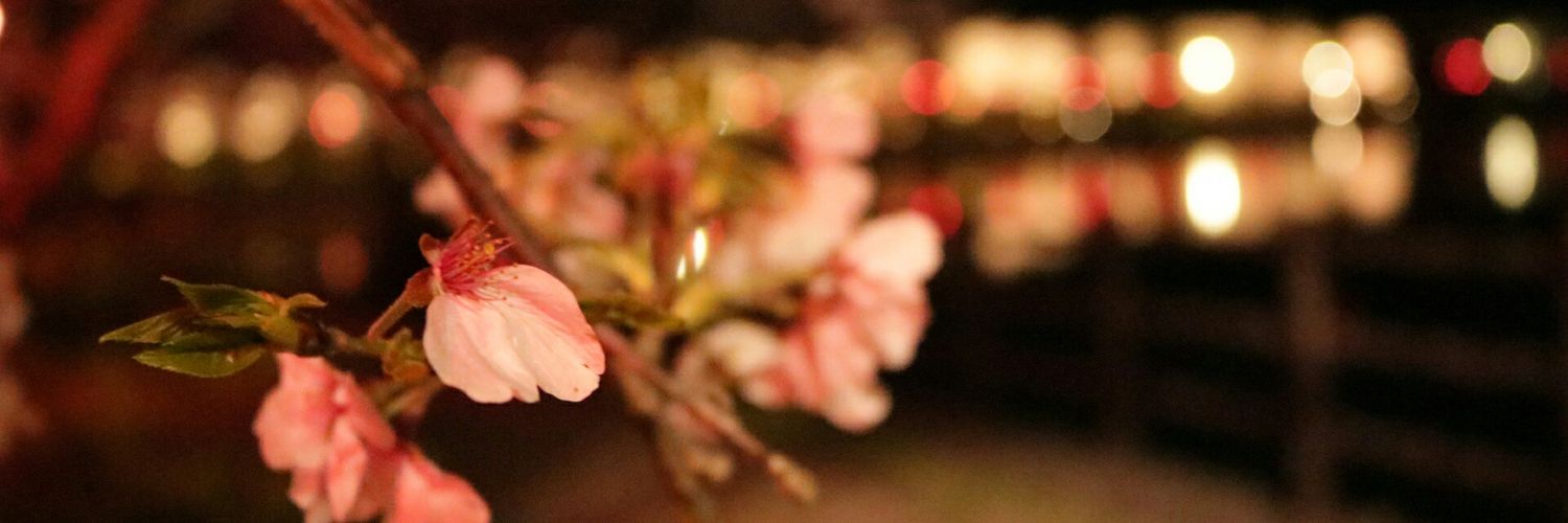 tanbo23's profile banner image
