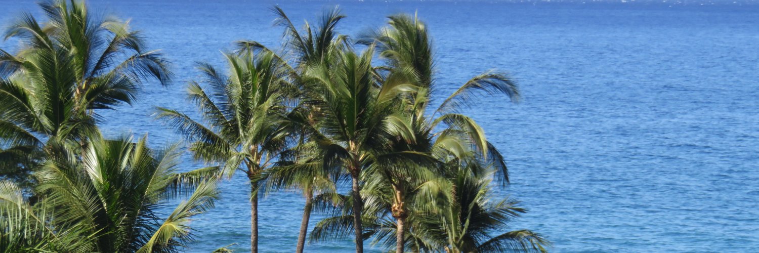MeezerRocks's profile banner image