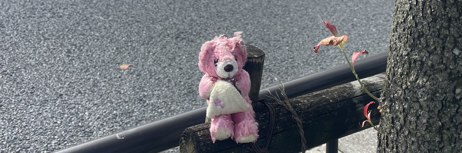justynenee's profile banner image