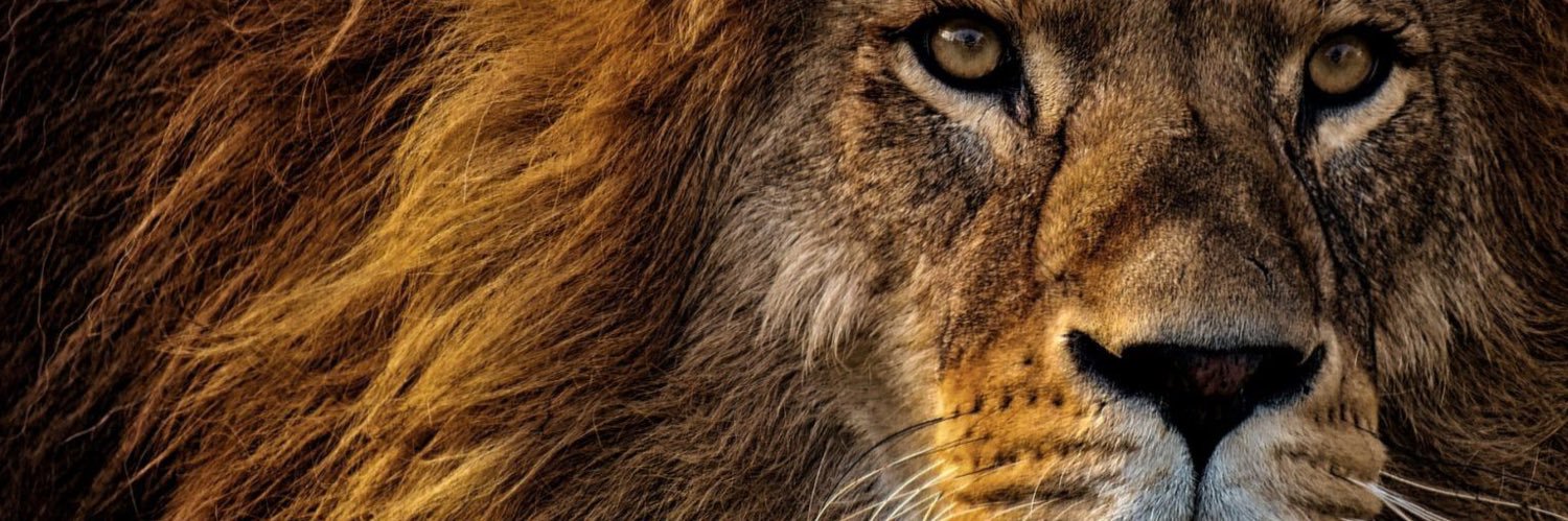 deepincore's profile banner image