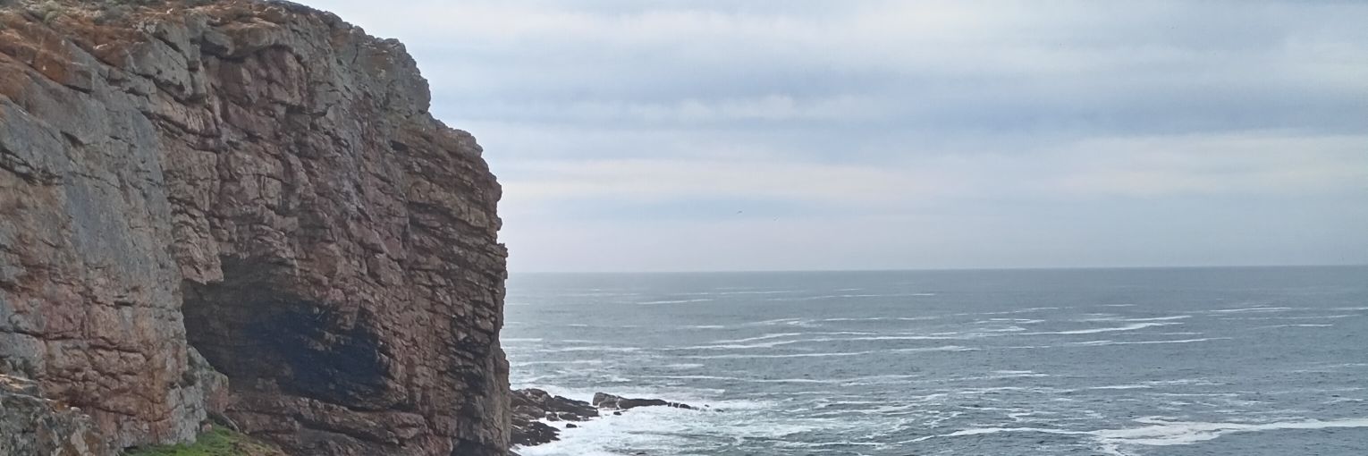 wld_dan.x banner