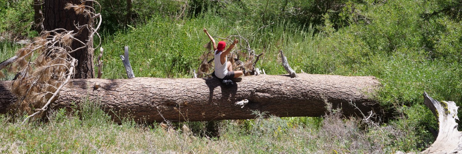 Otari Zaharovich banner