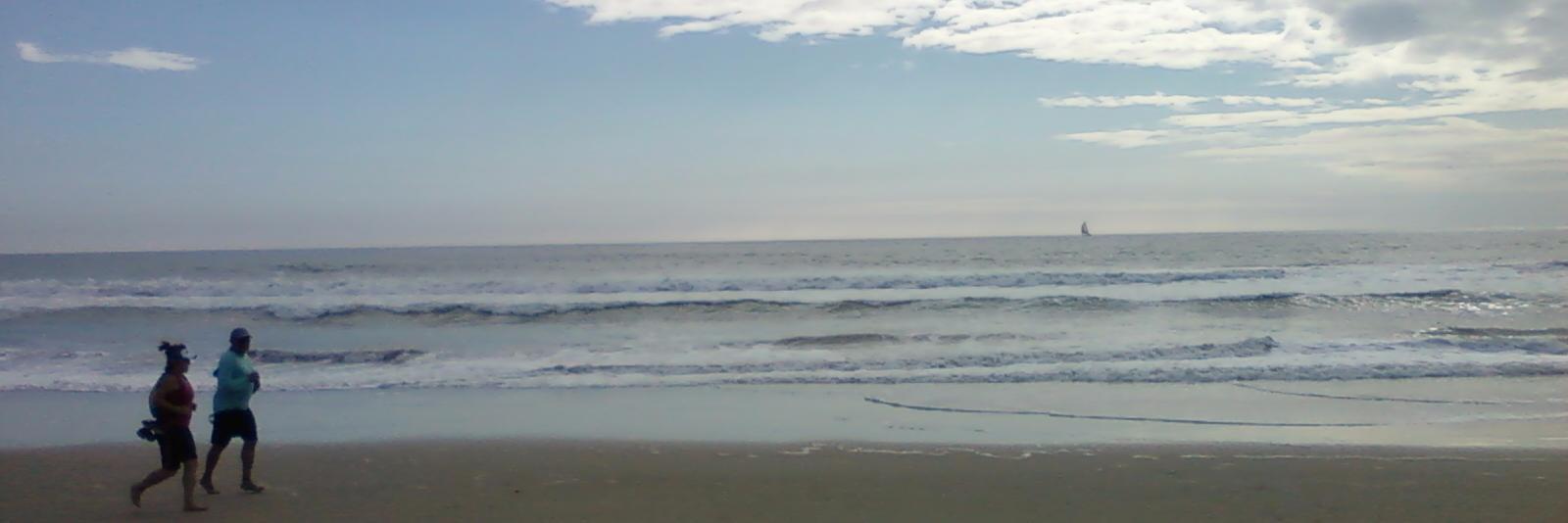truthsense's profile banner image