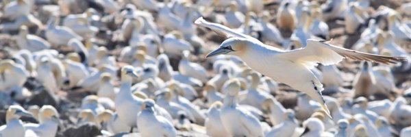 BethanyClark36 Profile Banner