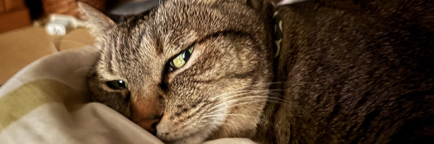 CrimSack's profile banner image