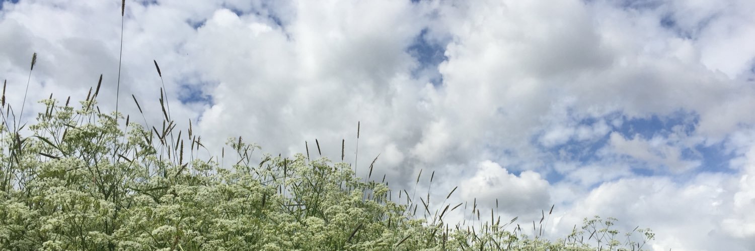 JouniMikkonen's profile banner image