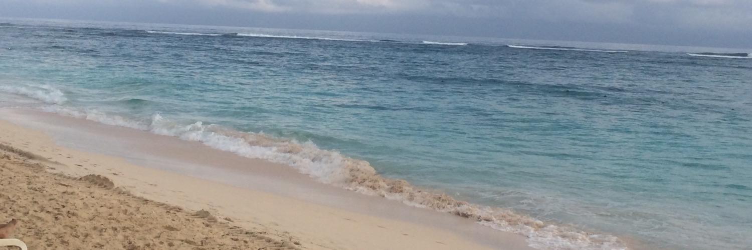 Chris Curves banner