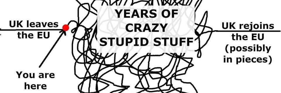 Nik Traykov 🇪🇺 🦊🌴⚽ banner