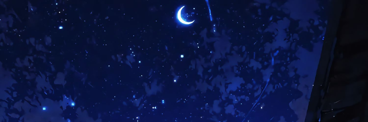 flwmind's profile banner image
