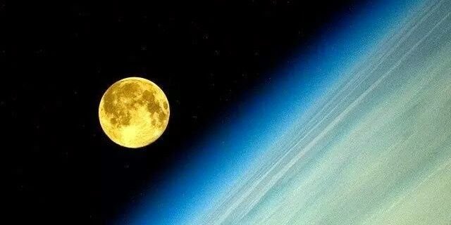 The Pessimistic Gardener banner