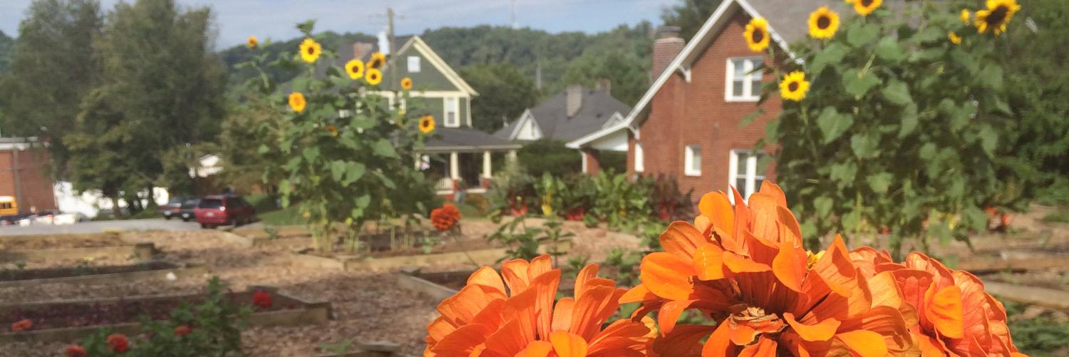 Miller Foutch banner