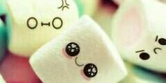 CalaveraY's profile banner image