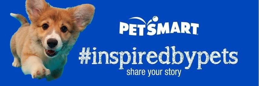 PetSmart #1938 banner