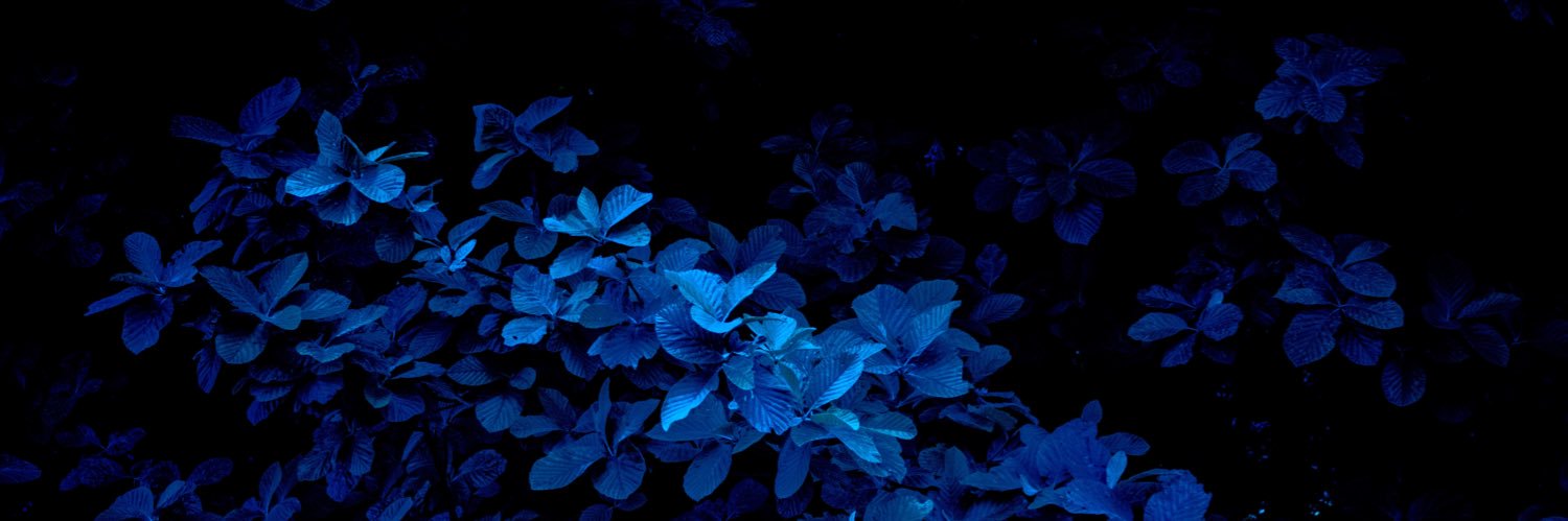 Miss_Toadie_'s profile banner image