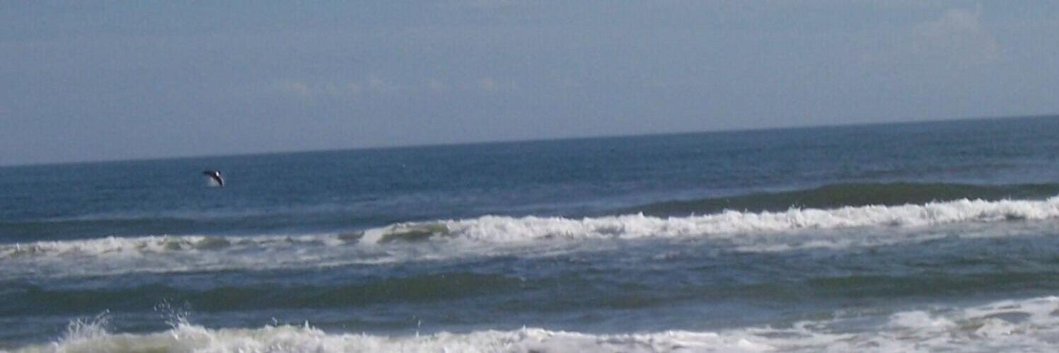 Michele Kelley banner