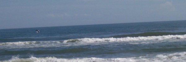 michelenull Profile Banner