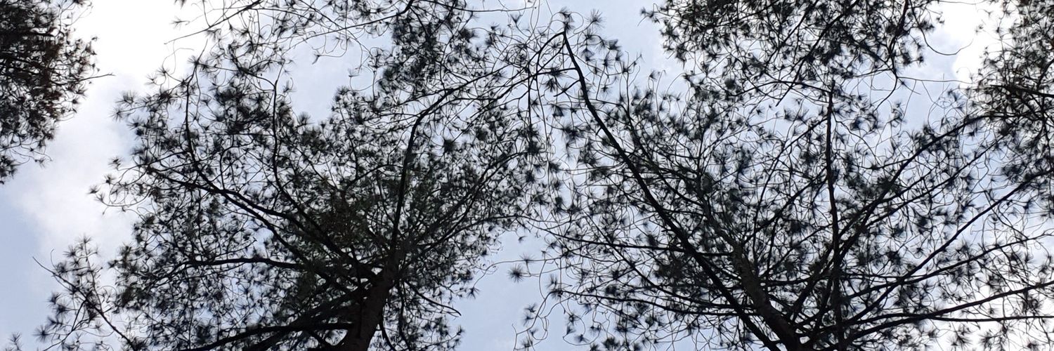adethyap's profile banner image