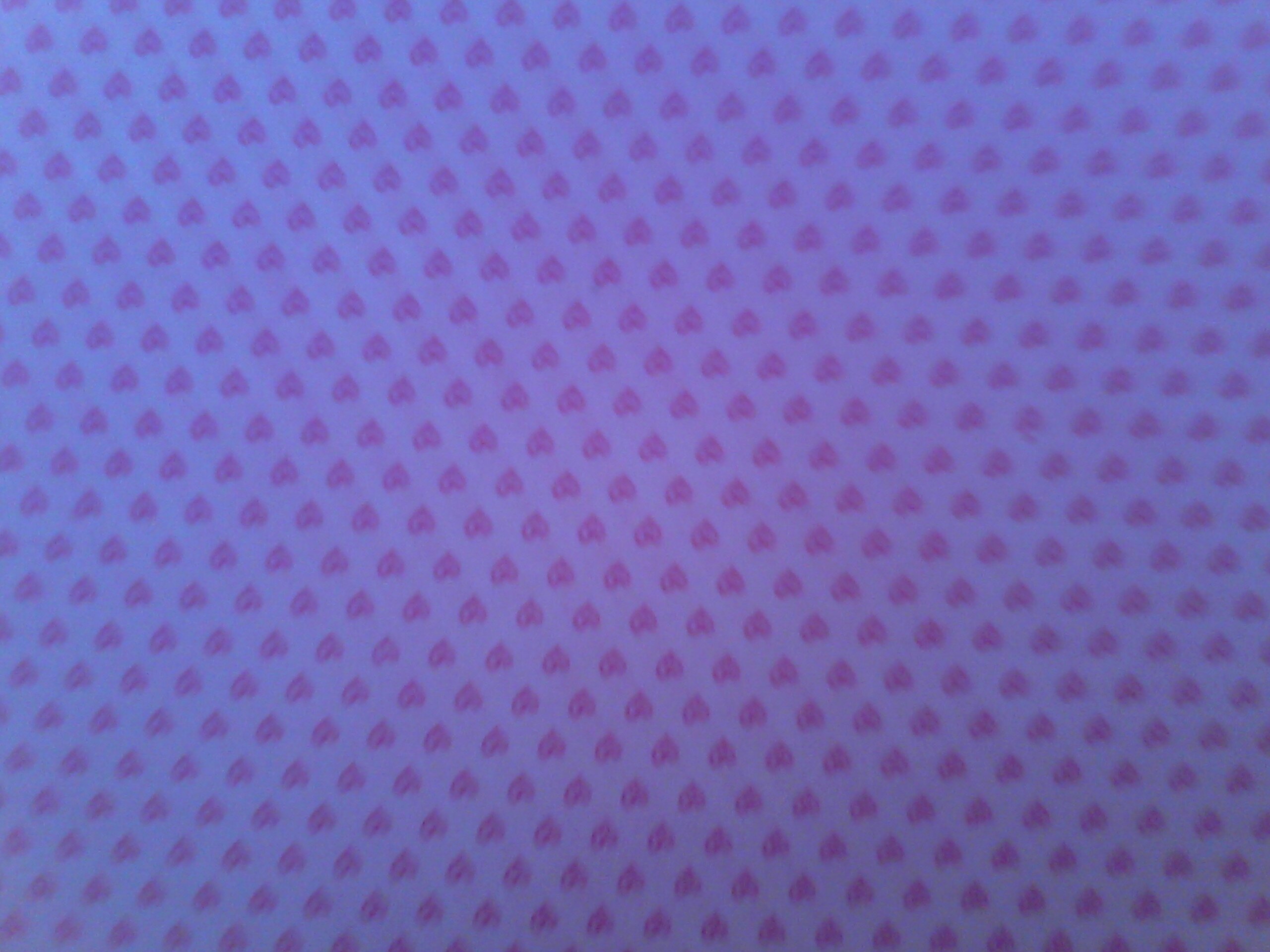angieflor015's profile banner image