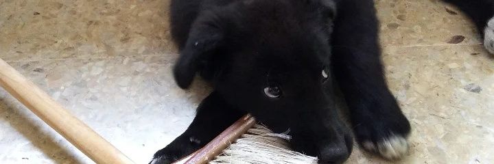 Valenn_Rivera's profile banner image