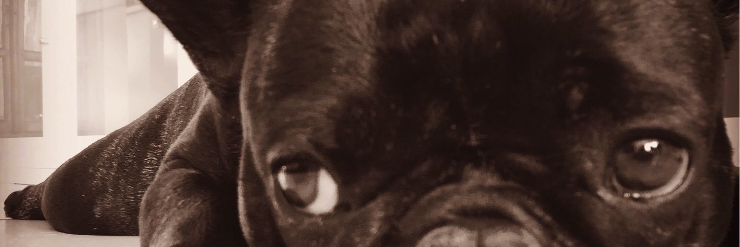 juloal's profile banner image