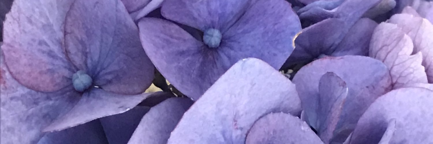 Omamety's profile banner image
