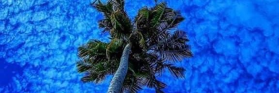 Raynay 👨🏿‍✈️ ✝️ banner