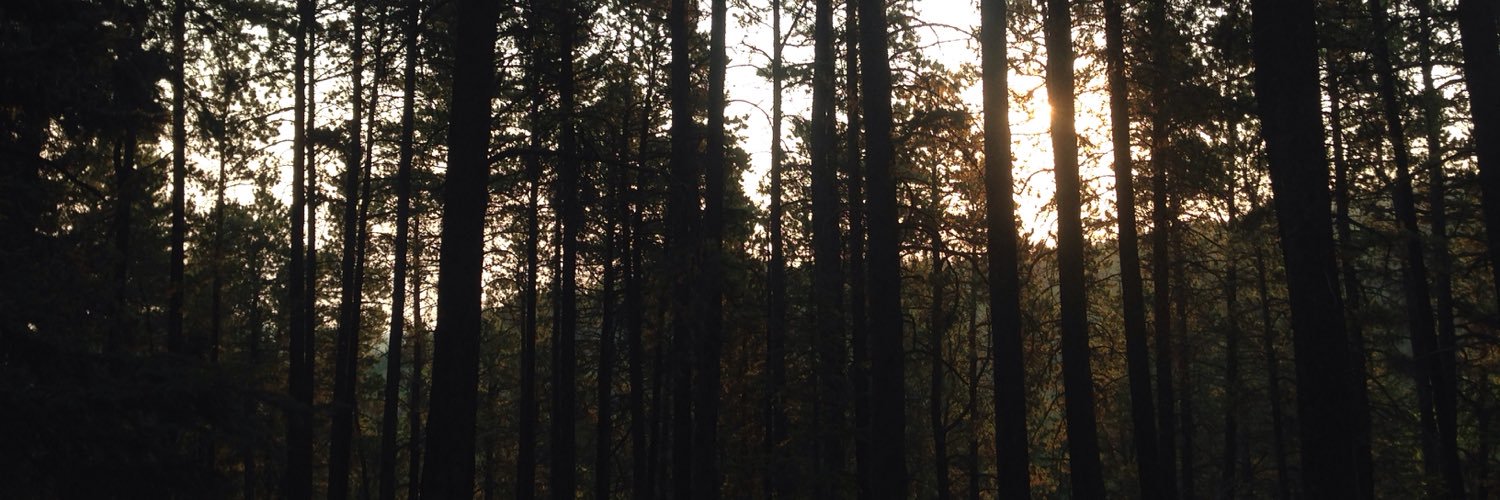 TheeColtonGee's profile banner image