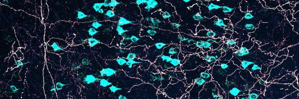 thedoctorkhan Profile Banner