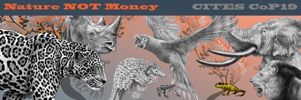 EleRhinoMarch Profile Banner