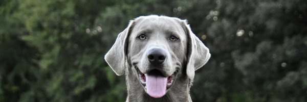 CoachB_00 Profile Banner