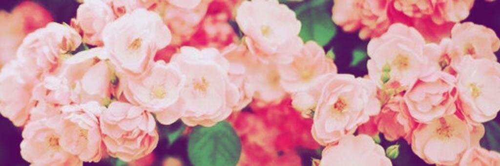 anaafgdr's profile banner image