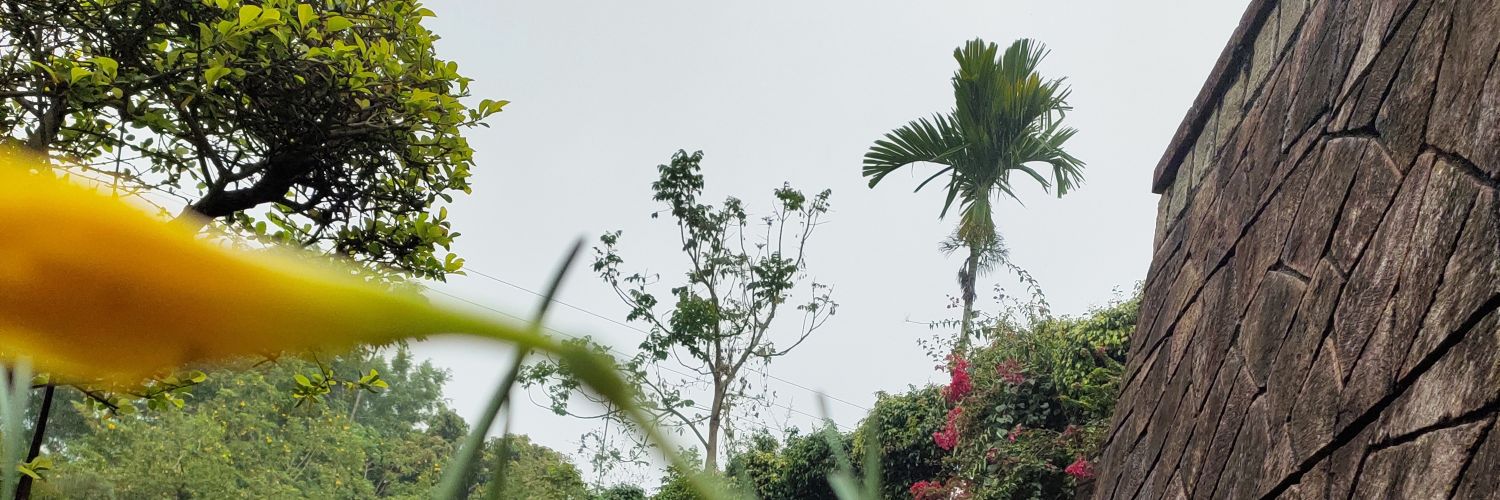 drguttala's profile banner image