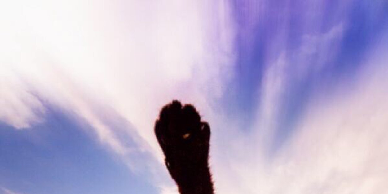 Mini891's profile banner image