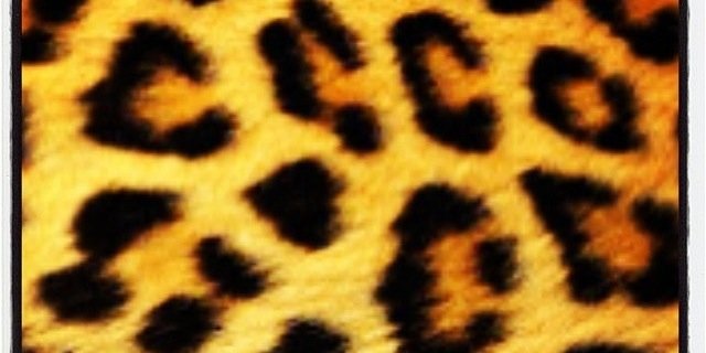 lil_han83's profile banner image