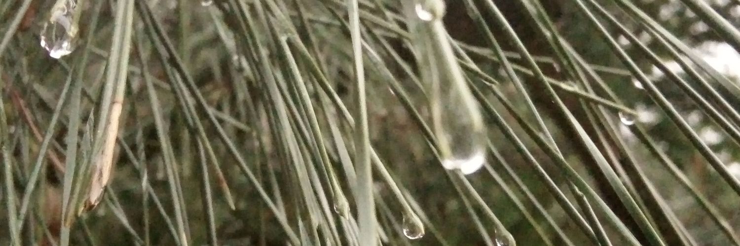 Andrew O'Hehir banner