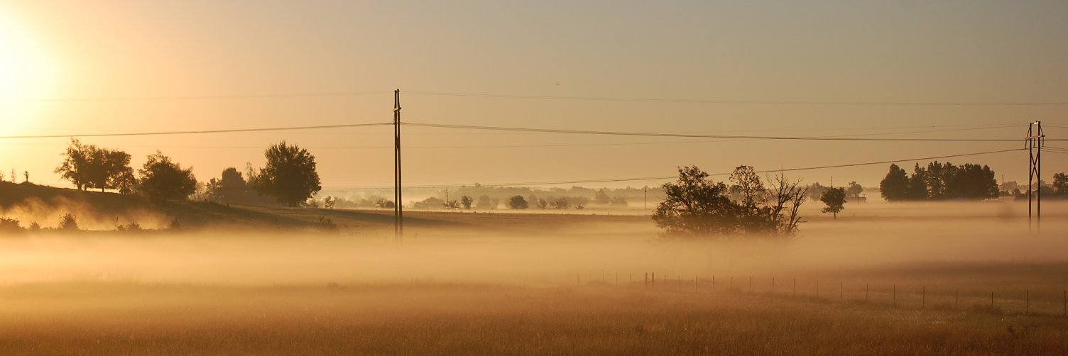 Thomas Brewer banner