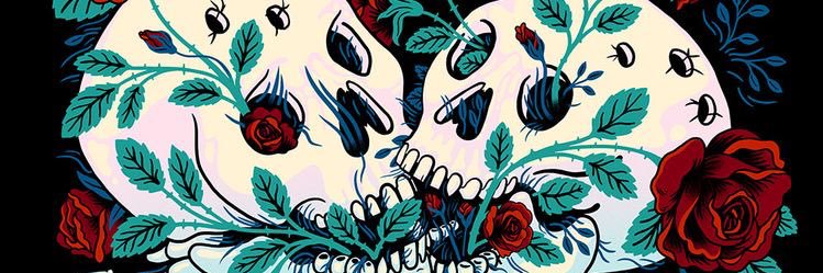 kaci_abrego's profile banner image