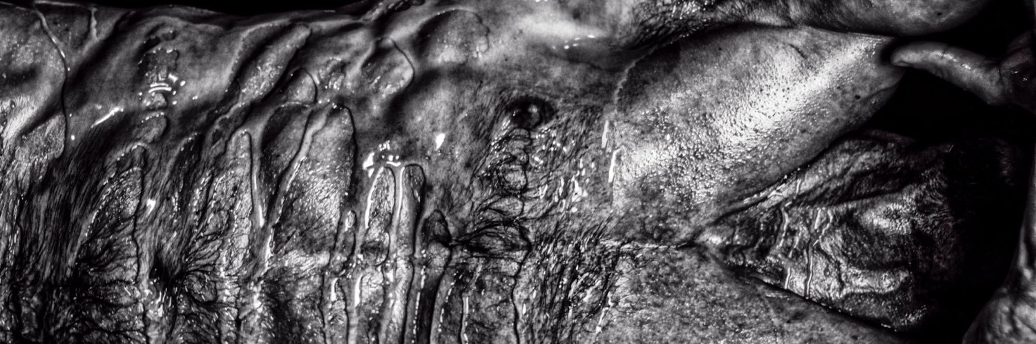 B_Andre_Photo's profile banner image