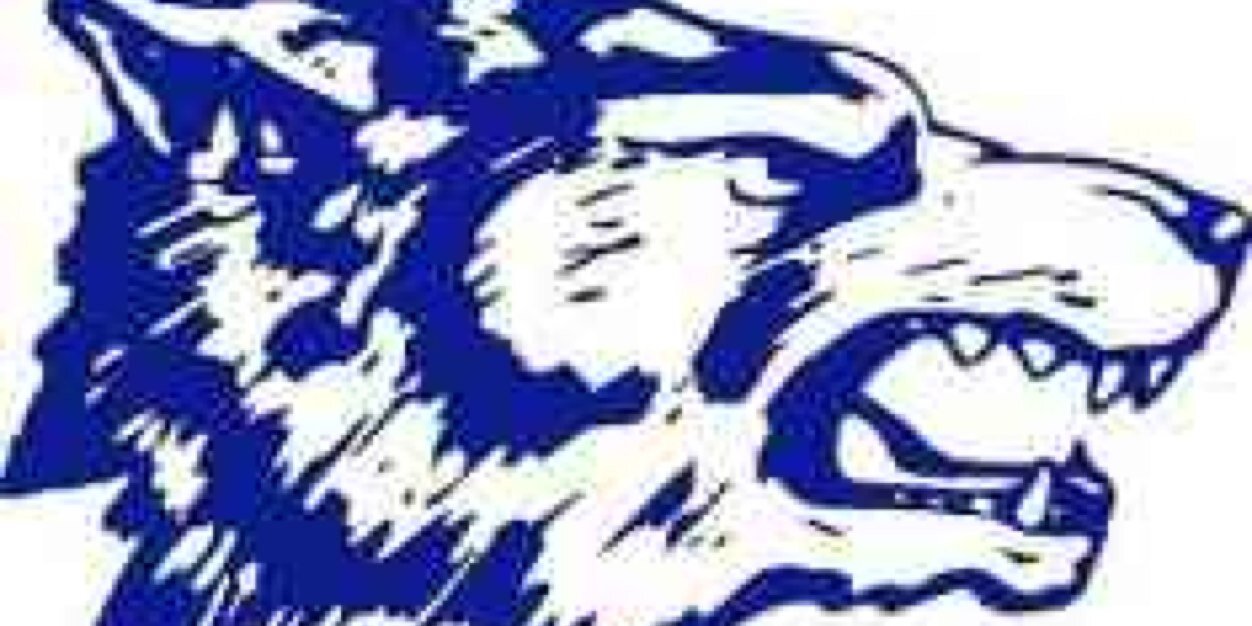 WMCSoftball's profile banner image