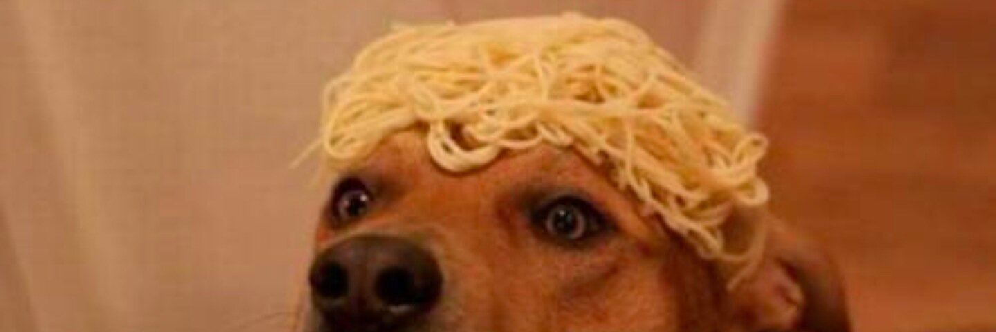 josephmilo4445's profile banner image