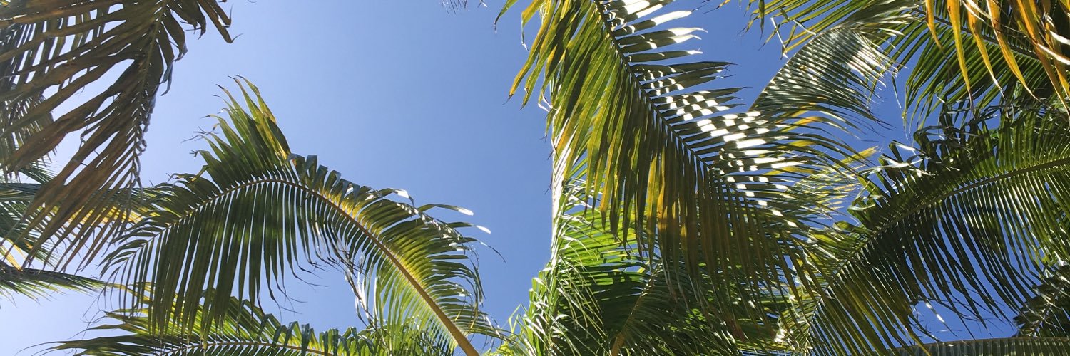 alrightivan's profile banner image