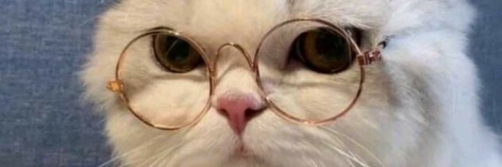 poluidabrt's profile banner image