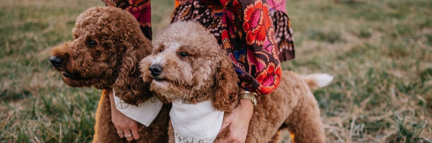 LauBryant's profile banner image