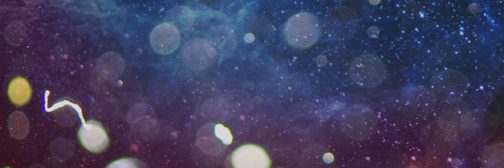 SkippIsDead's profile banner image