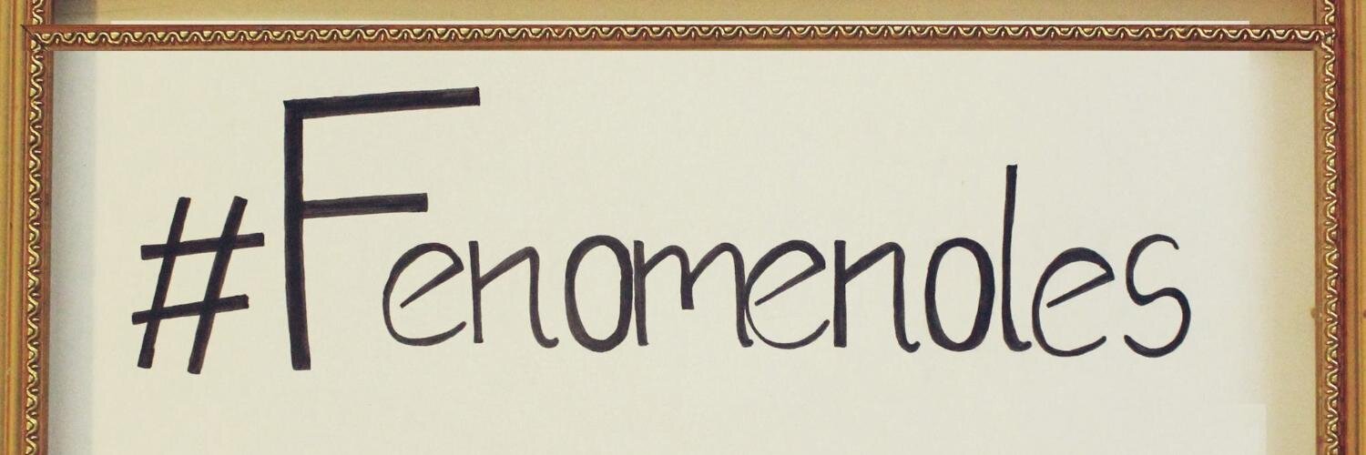 Fenomenoles's profile banner image