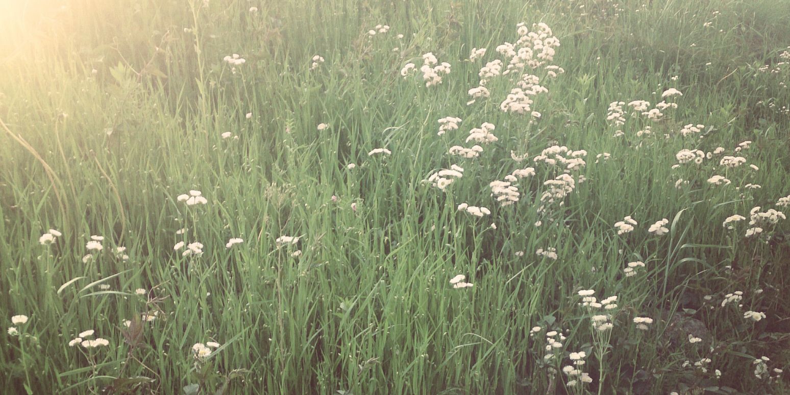 lunchbox1128's profile banner image